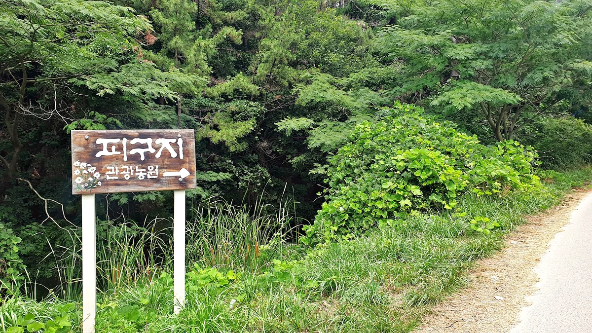 피구지 관광농원