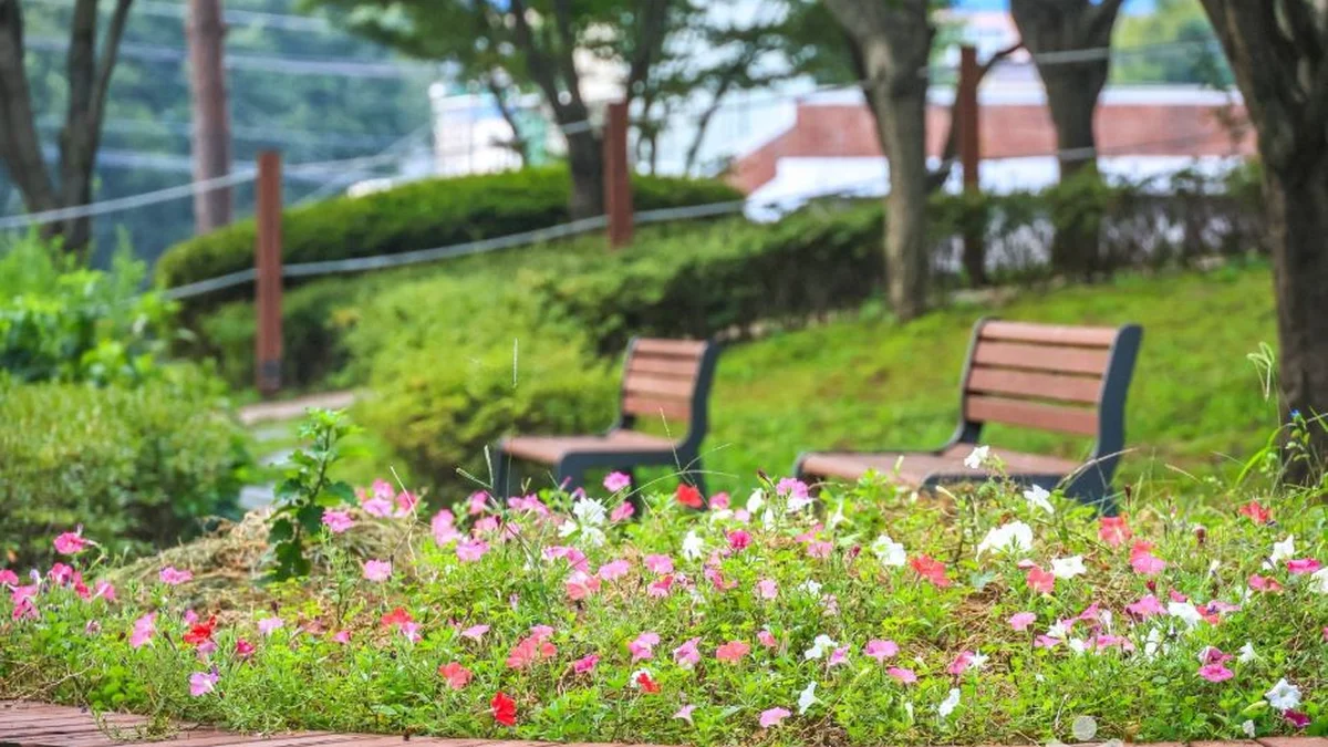 솔밭공원(안성)