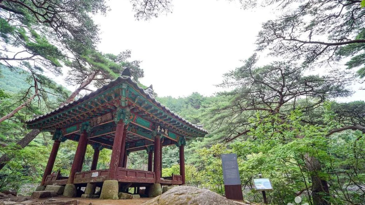 농산정
