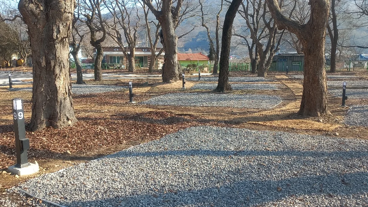 선돌느티나무캠핑마을 영농조합법인