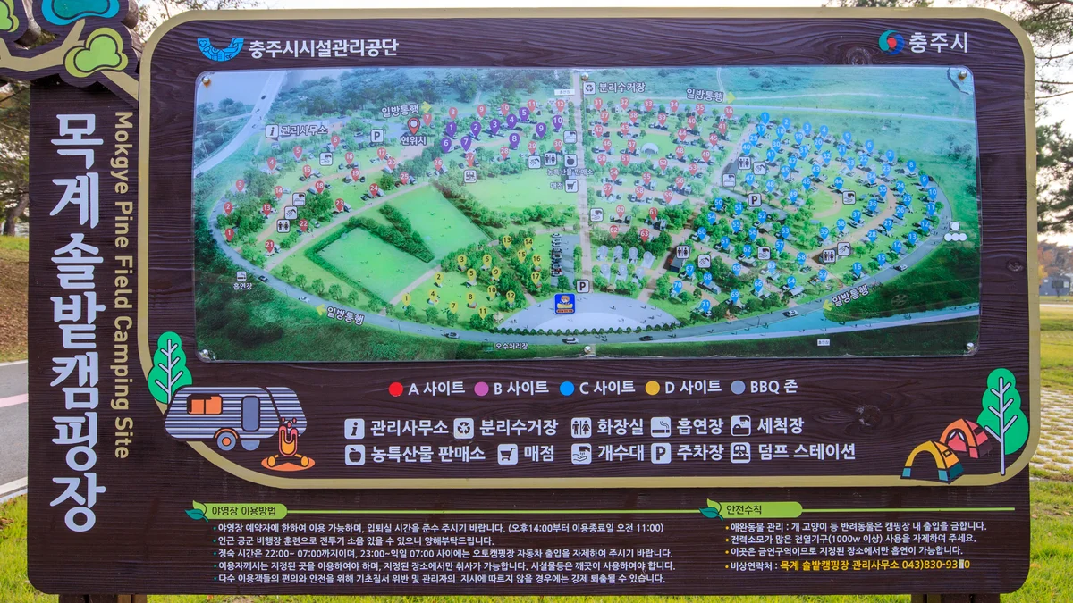 충주 목계솔밭 캠핑장