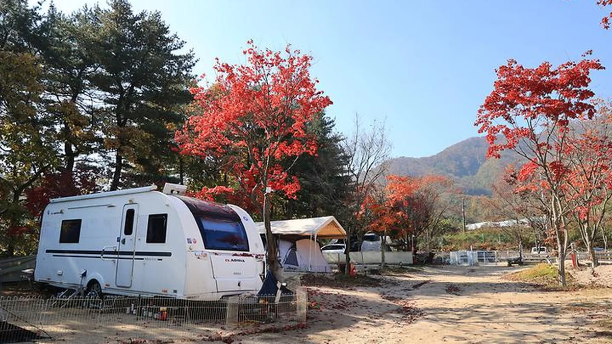 큰돌 캠핑장