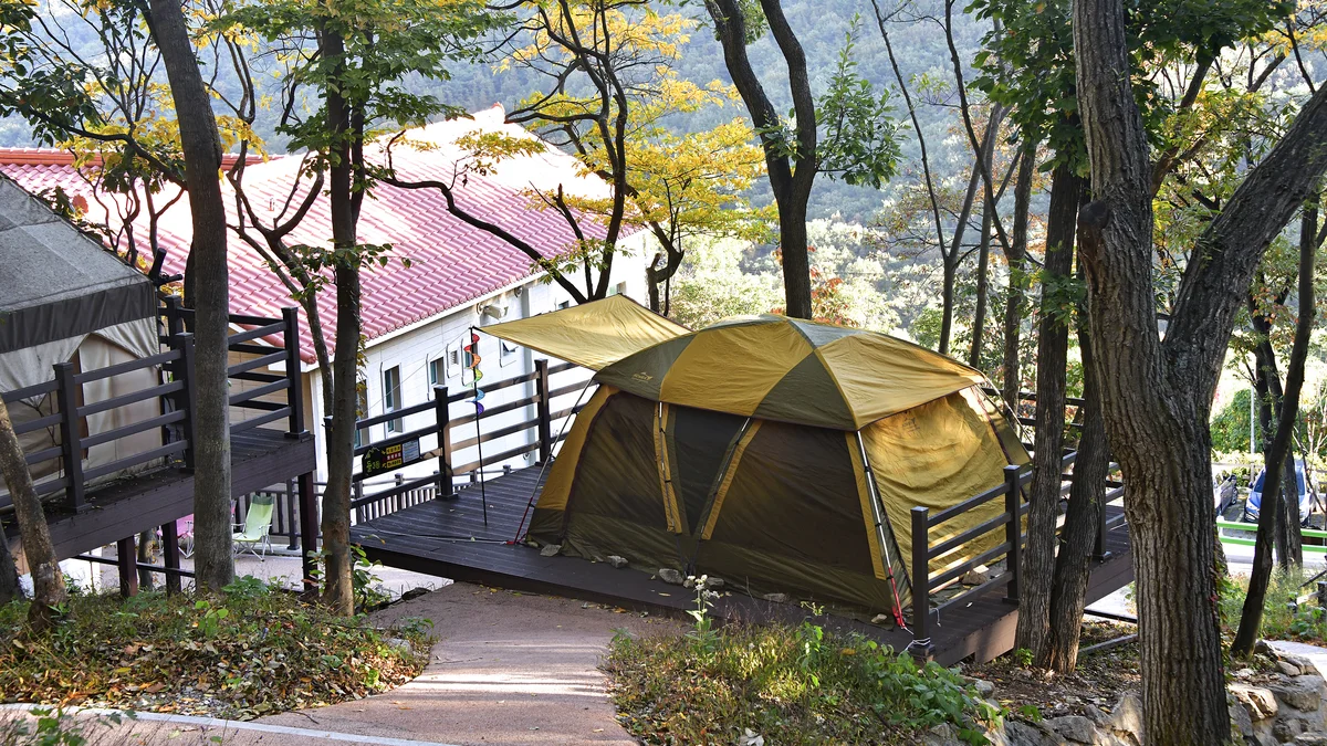 (주)신어산 자연숲캠핑장
