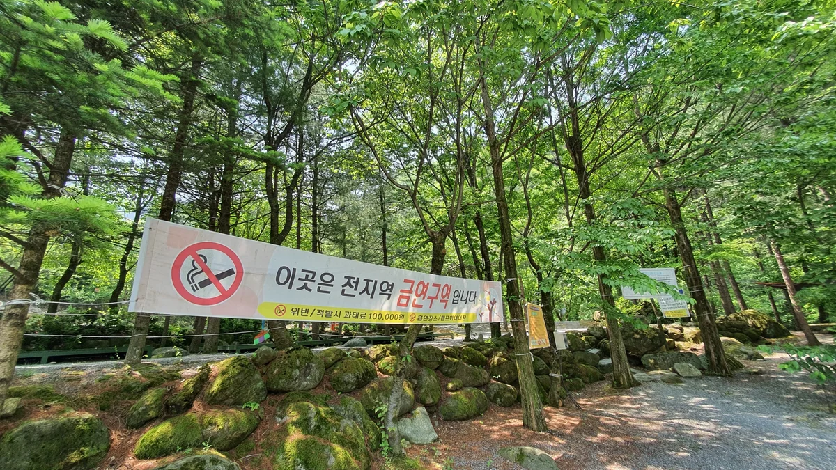 천동계곡 캠핑장