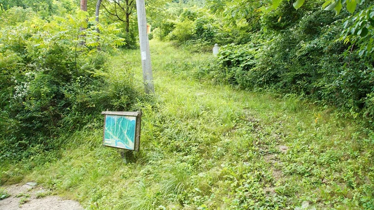 기우산(정선)