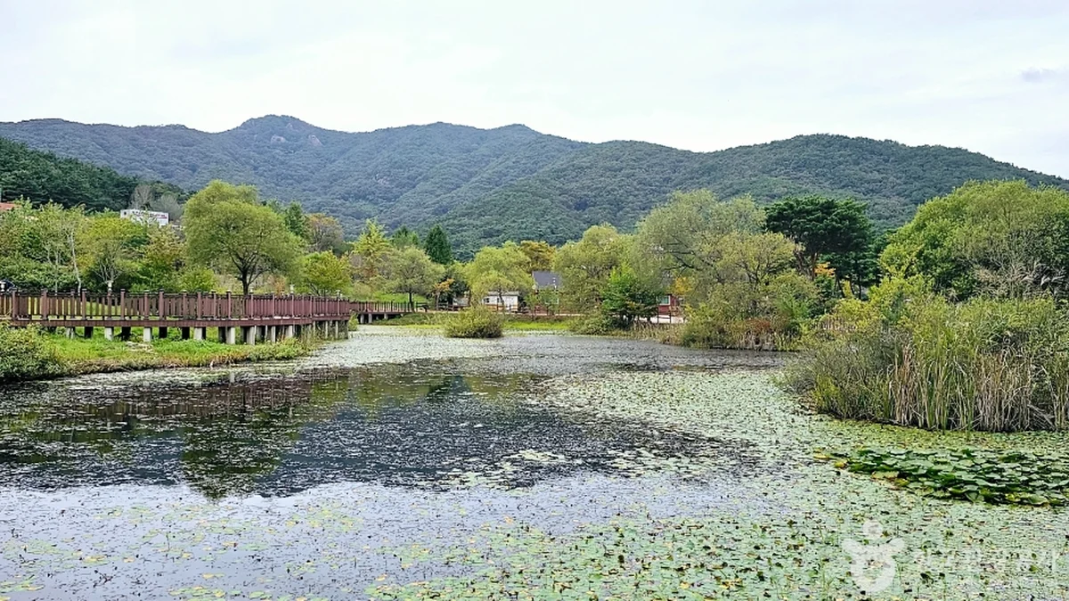 선운산 생태숲