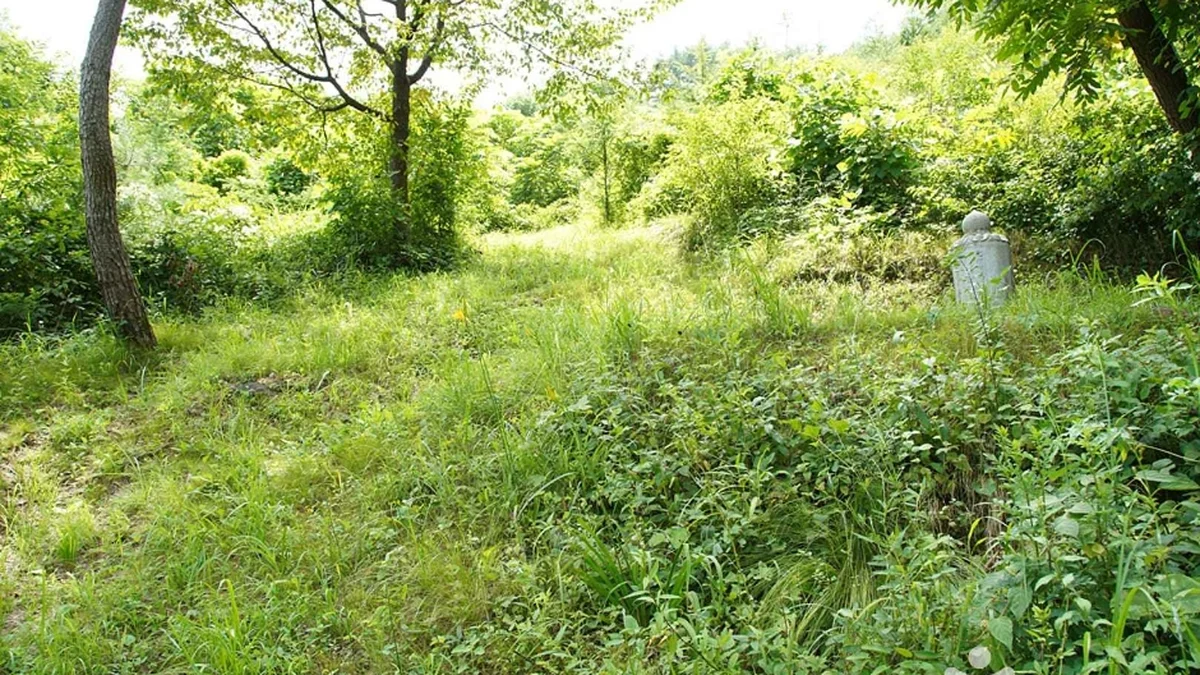 기우산(정선)