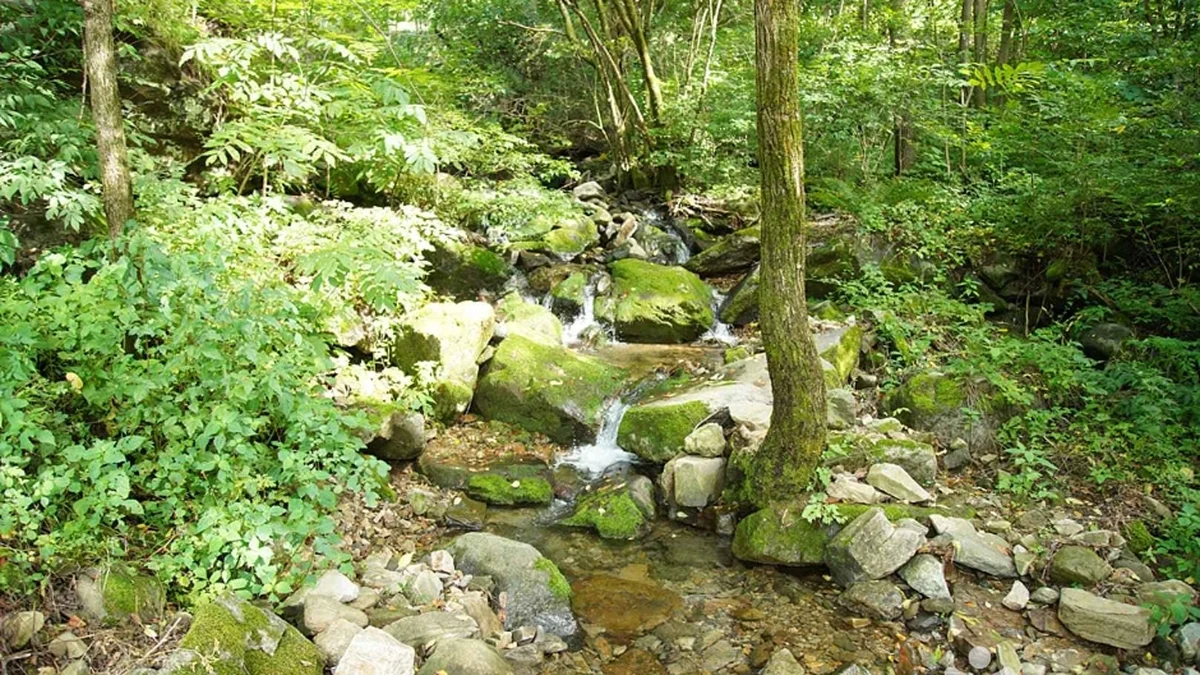목우산