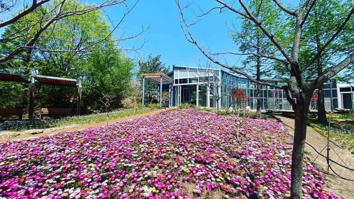 설악산 자생식물원