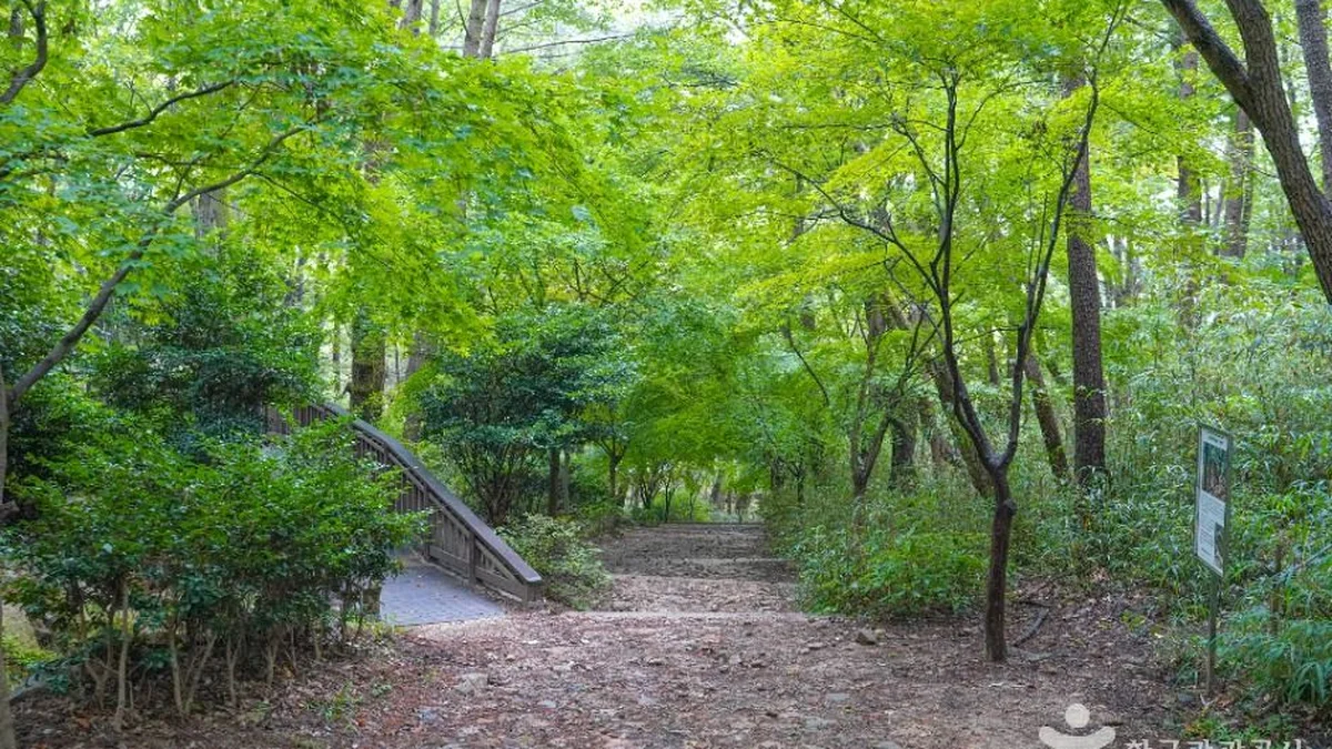백양산 웰빙숲