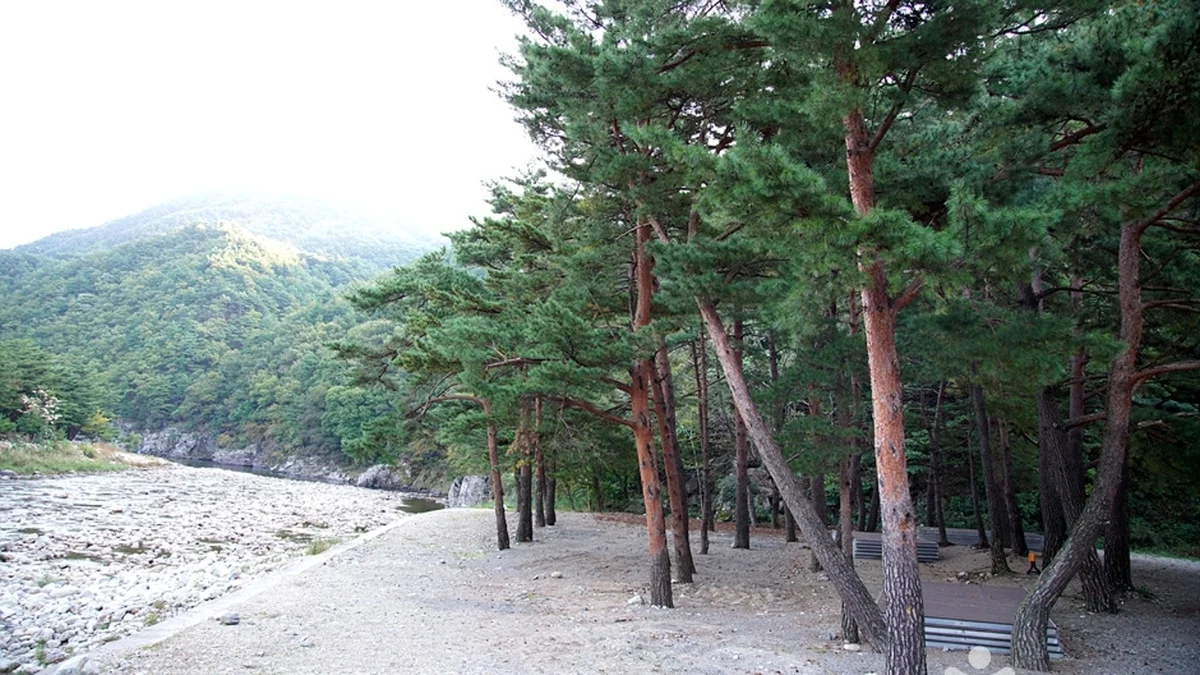 공수전계곡