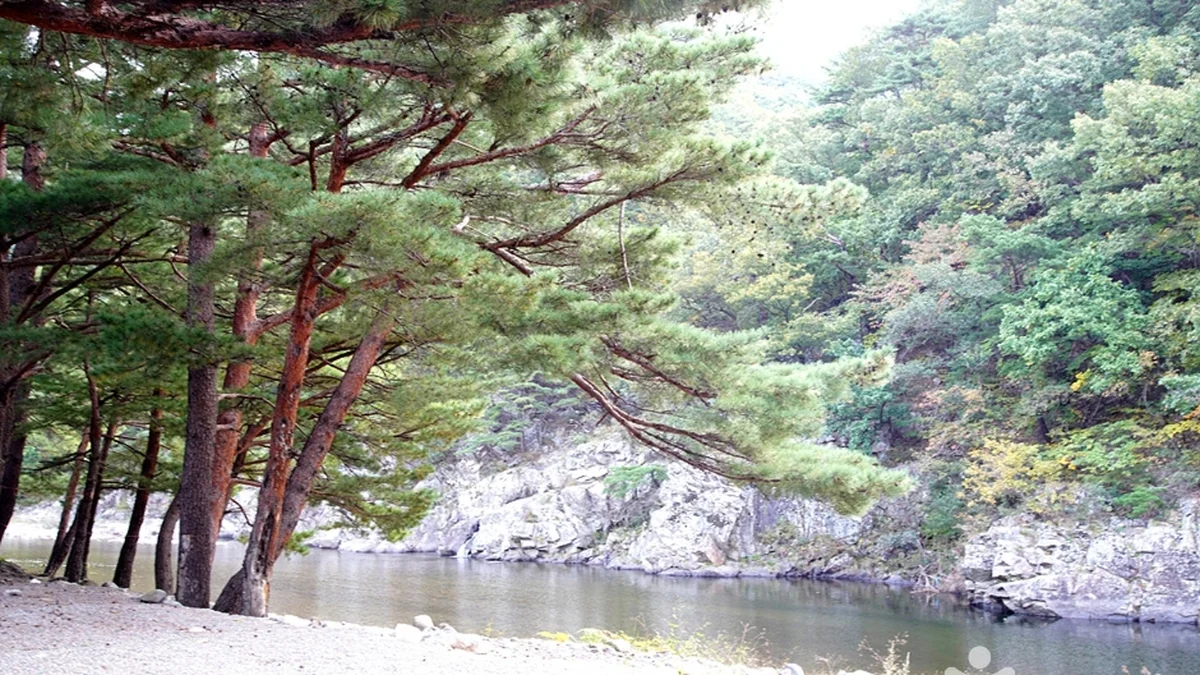 공수전계곡