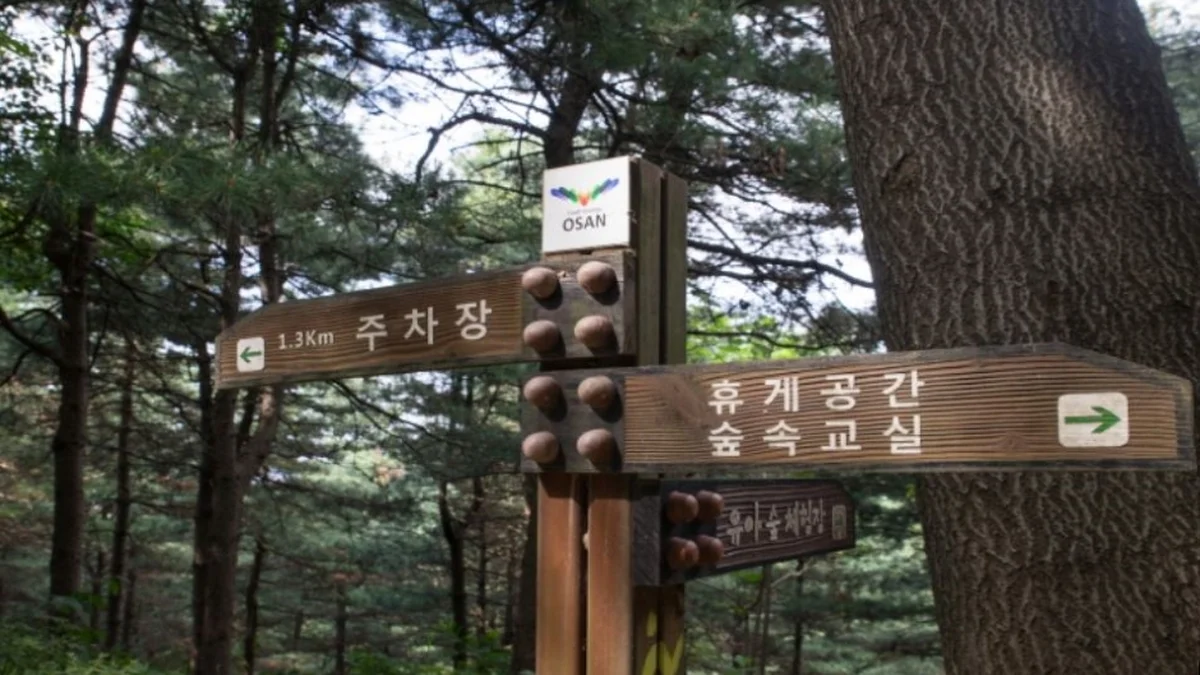 독산성산림욕장