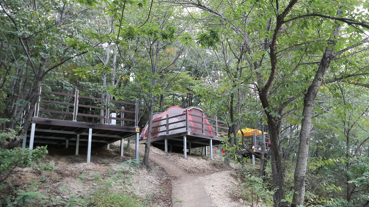 영인산자연휴양림 숲속야영장