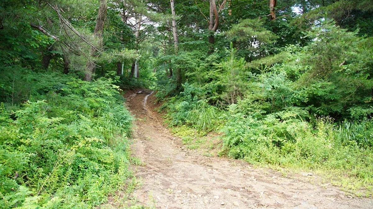 선달산(영월)