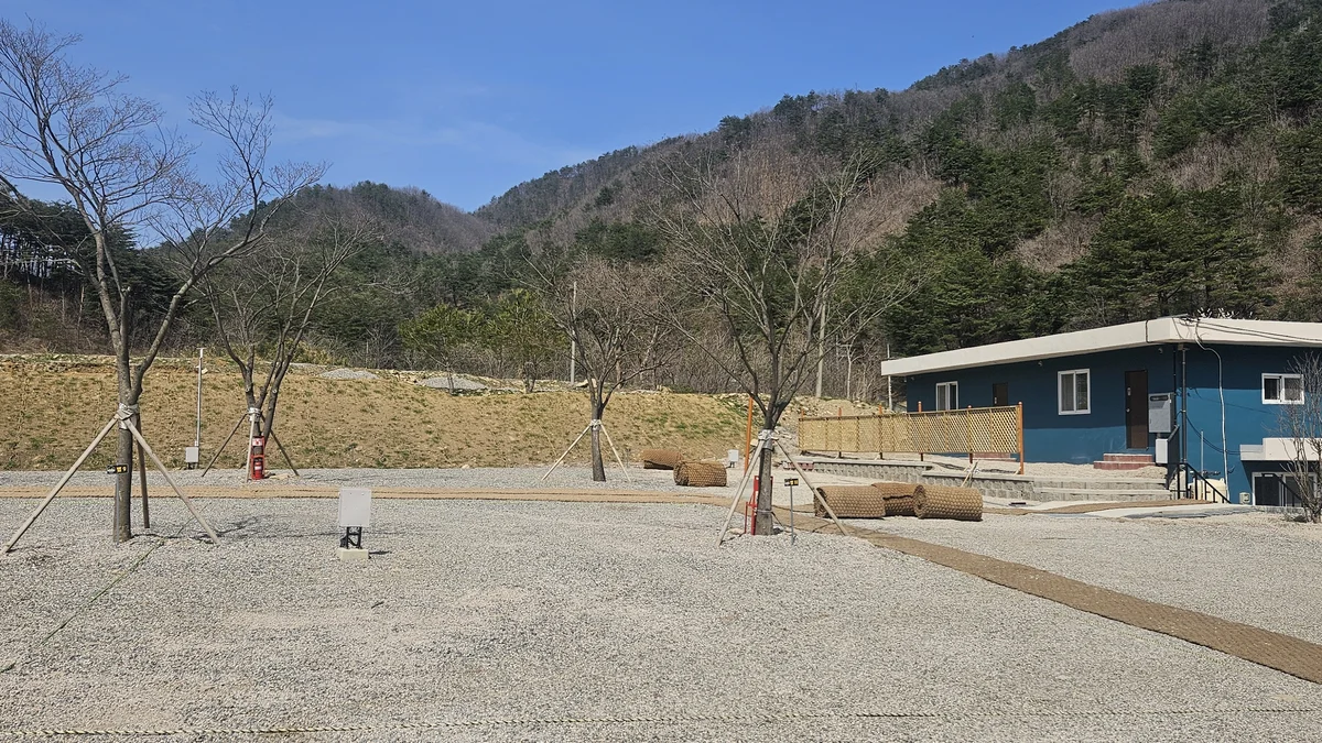 별비담캠핑장