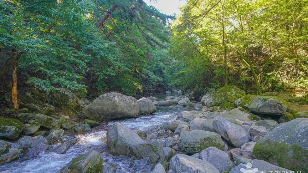 기백산 용추계곡과 용추폭포