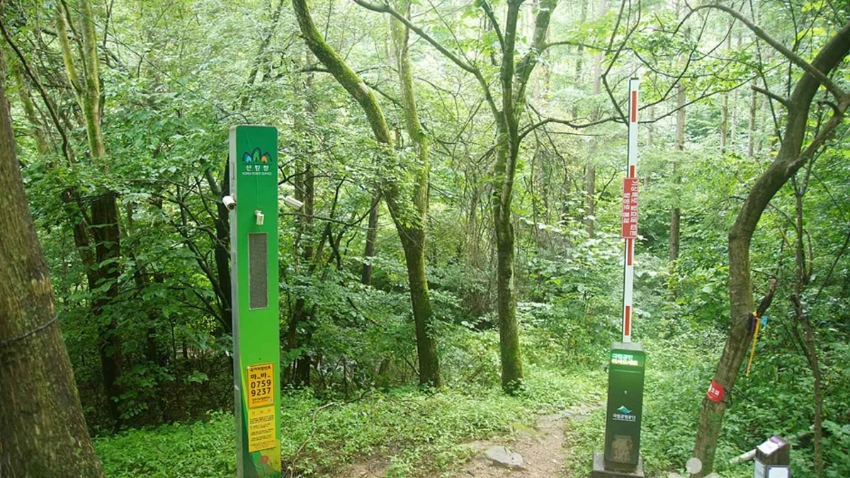 선달산(영월)