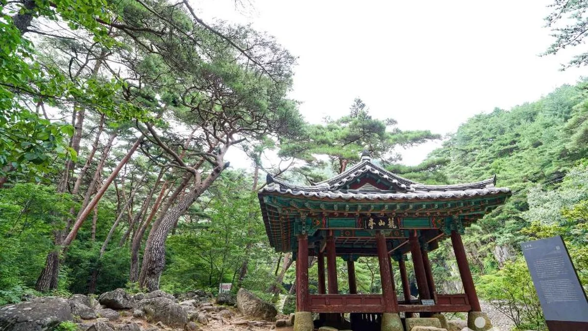 농산정