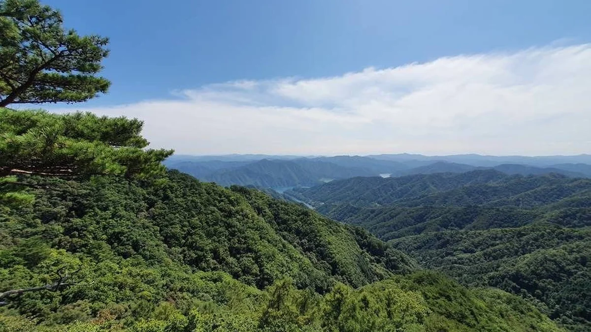 사명산