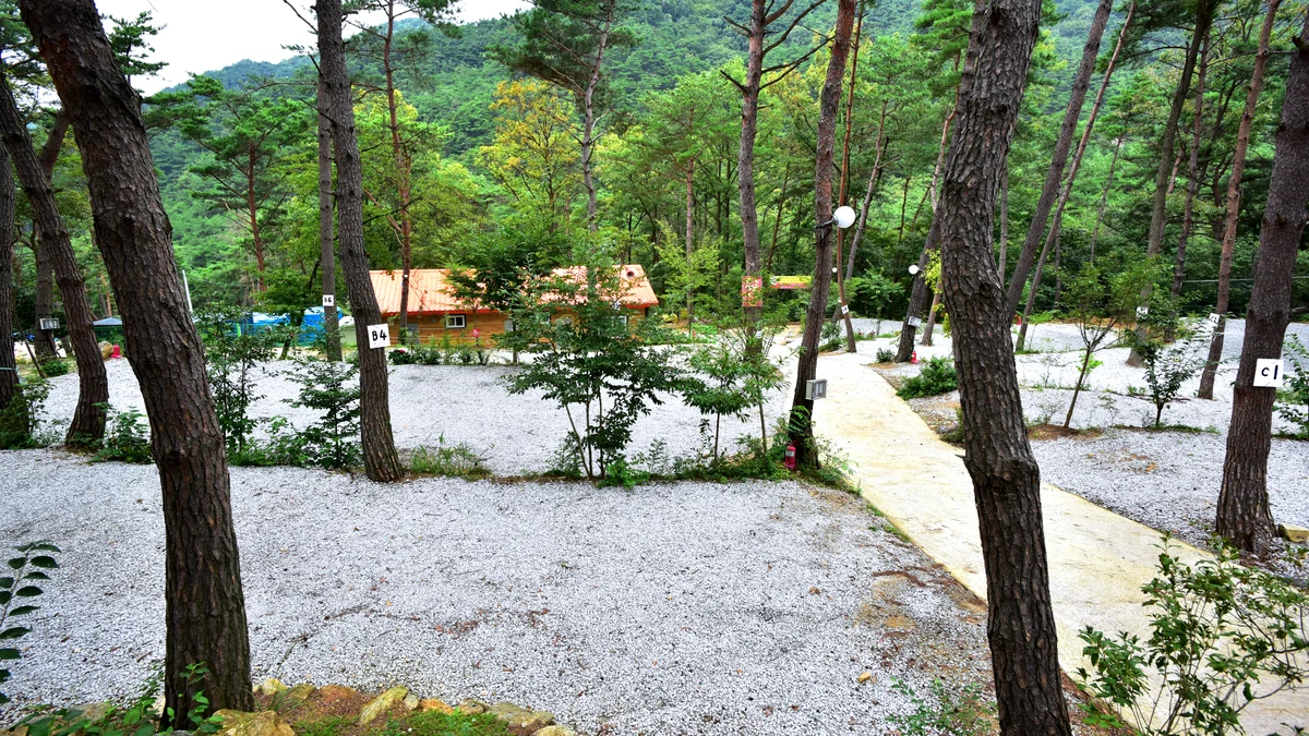 아리솔캠핑장