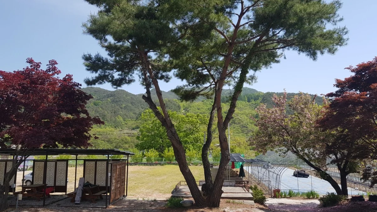 양지마을야영장