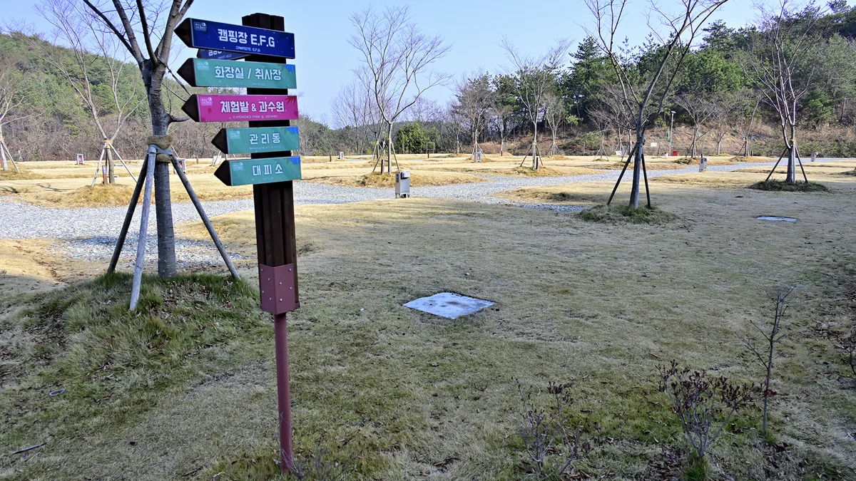 블루베리관광농원 베리굿 오토캠핑장