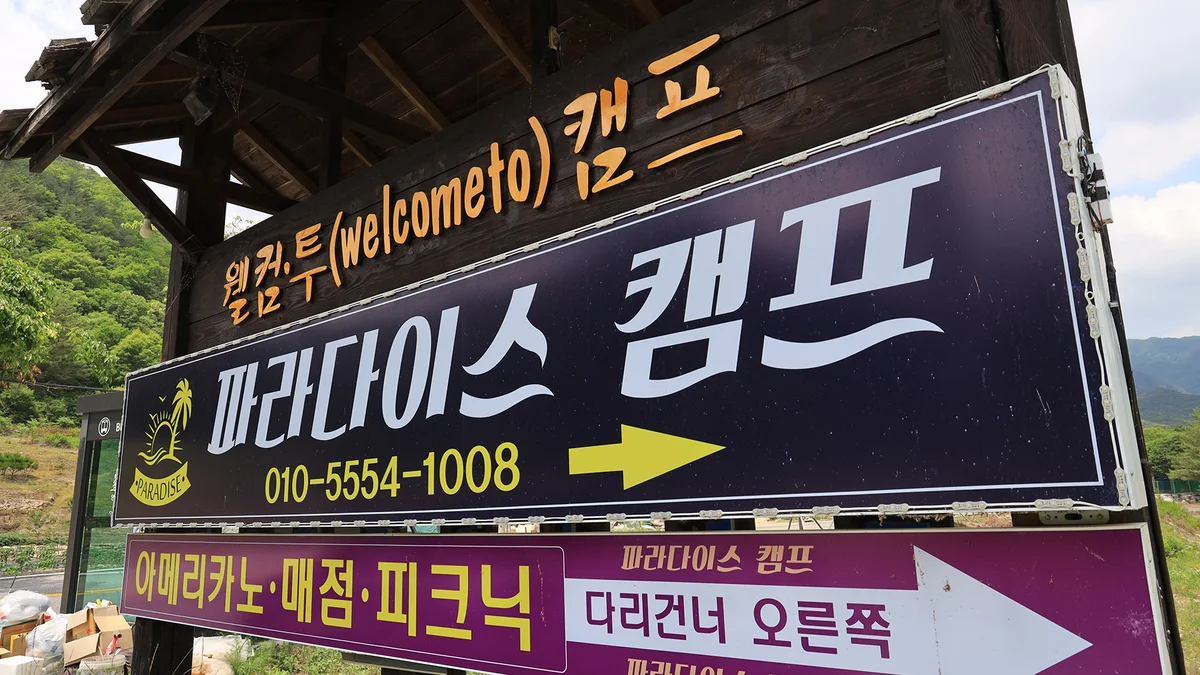 파라다이스캠프