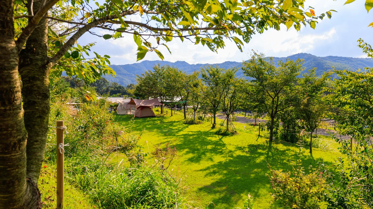 왕산골 관광농원