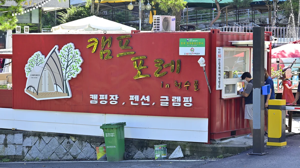 캠프포레