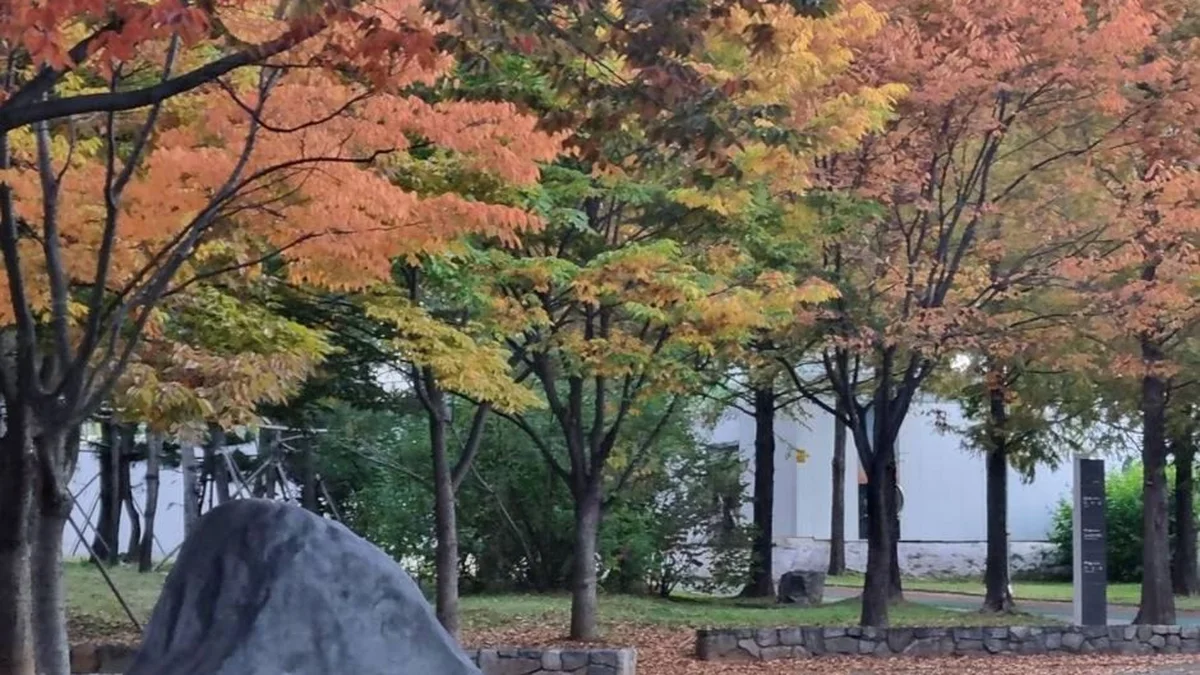 안산호수공원