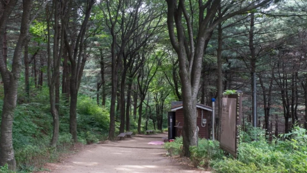 독산성산림욕장
