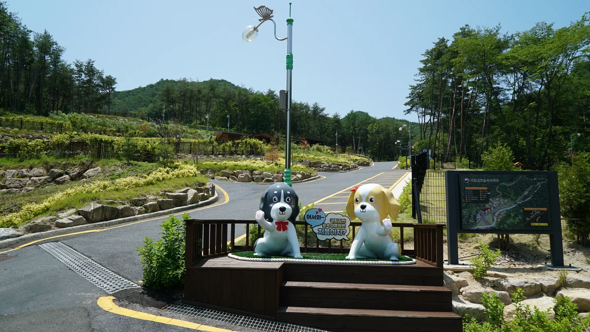 국립김천숲속야영장