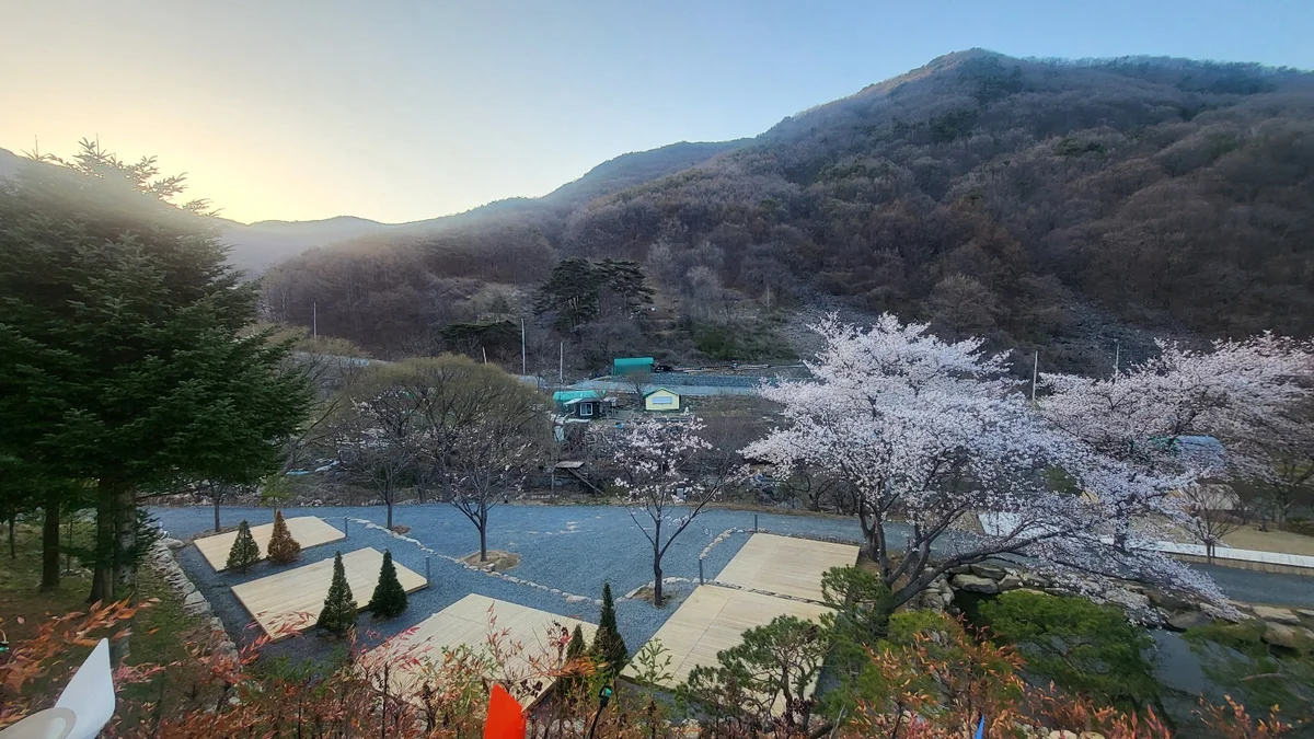 라운드힐 905