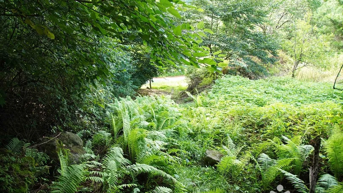 목우산