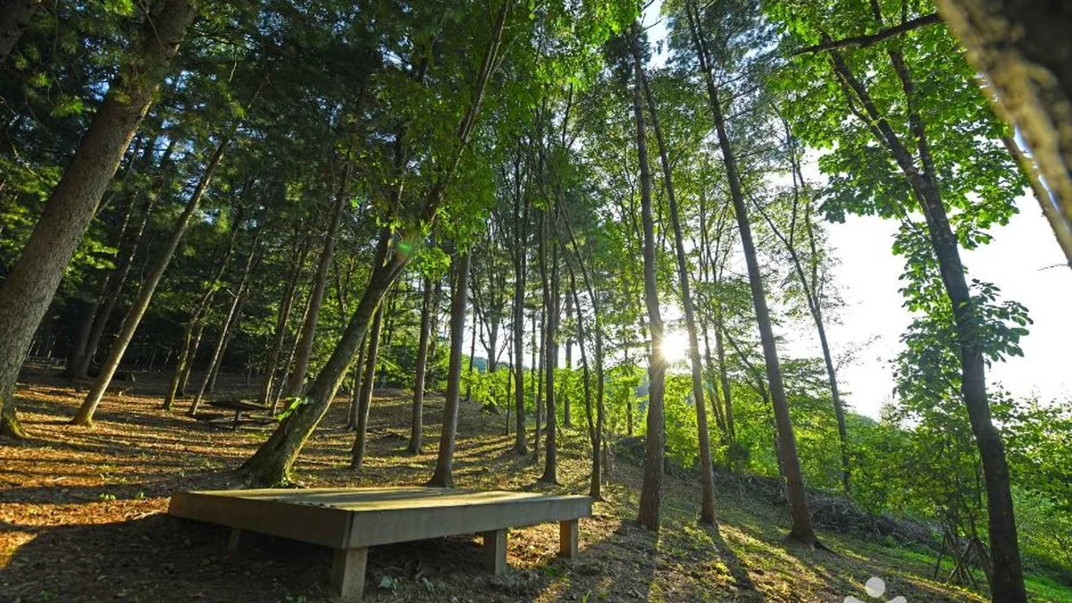 봉래산산림욕장