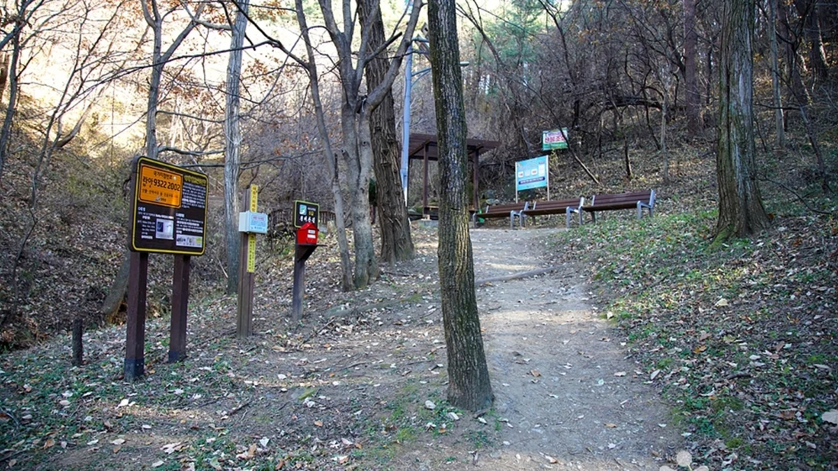 청대산