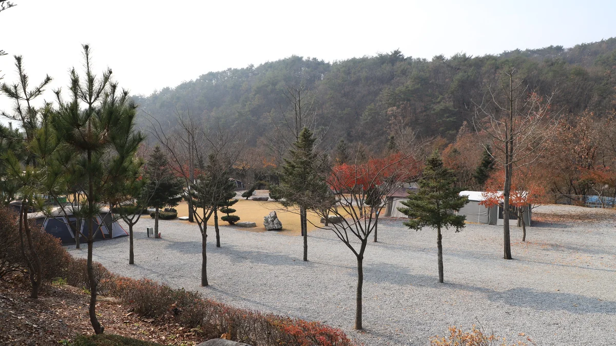 프라임캠핑장