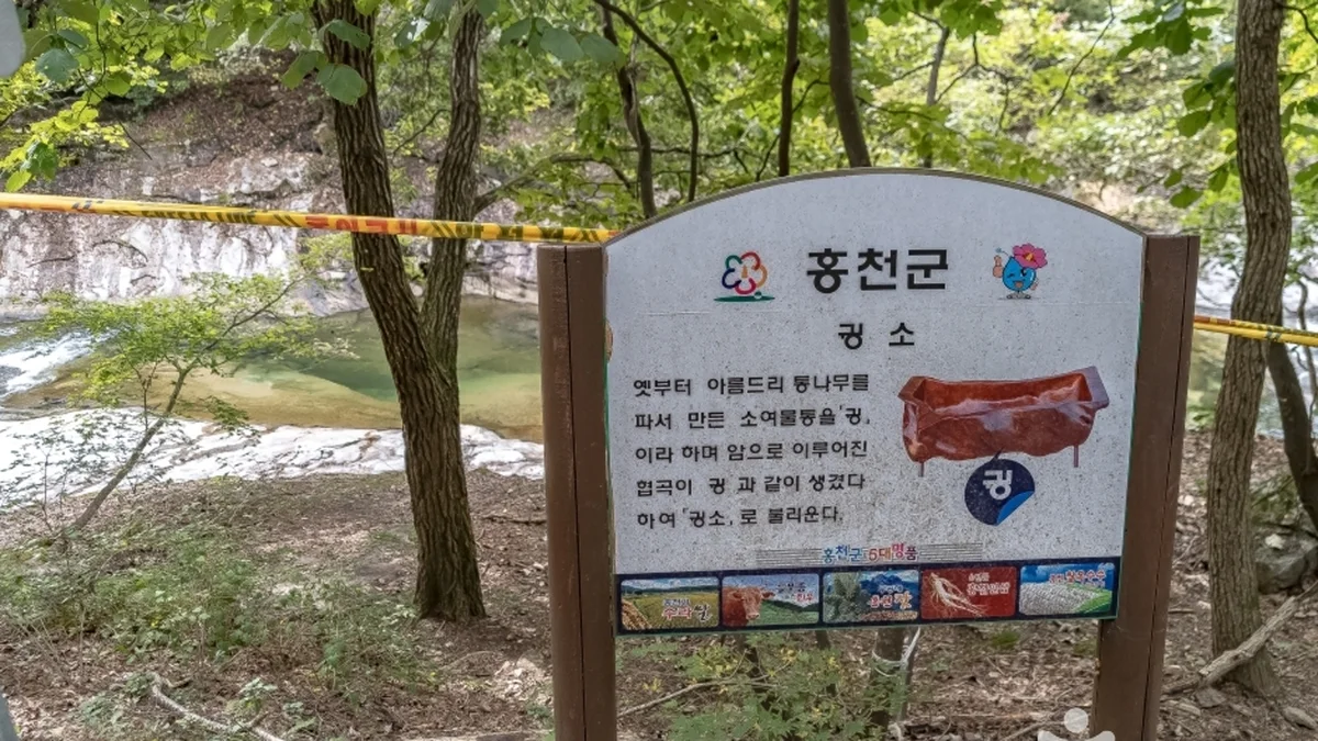 공작산생태숲