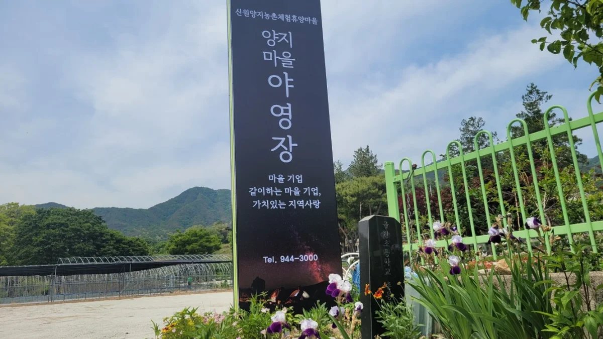 양지마을야영장