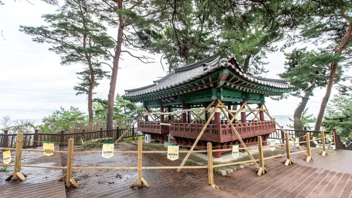 죽도정·죽도 전망대