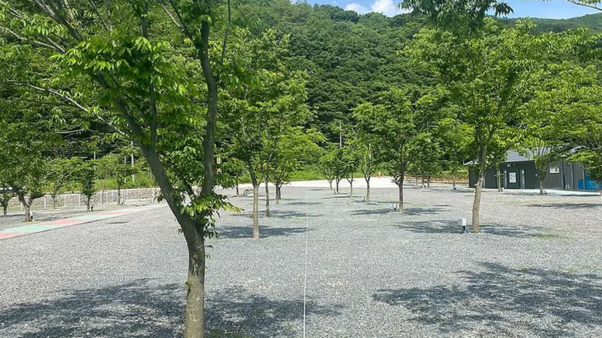 별빛 은하수 캠핑장