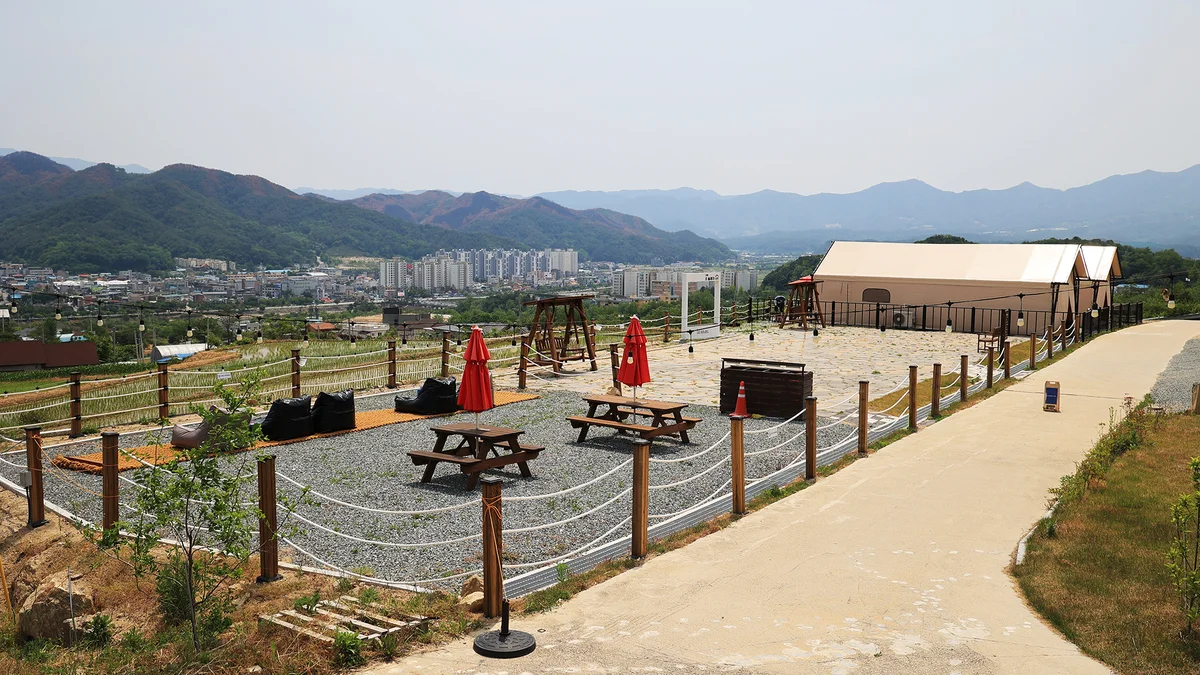 르쏠레이475카페 야영장