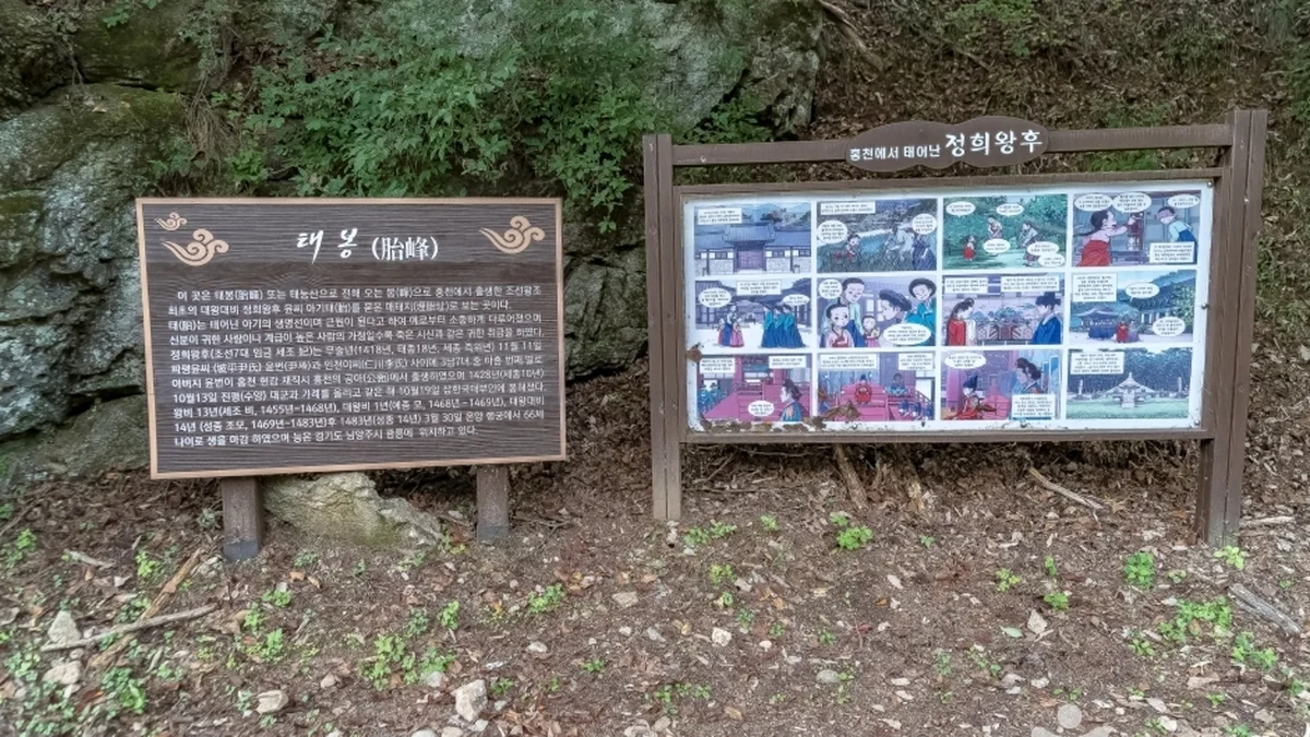 공작산생태숲