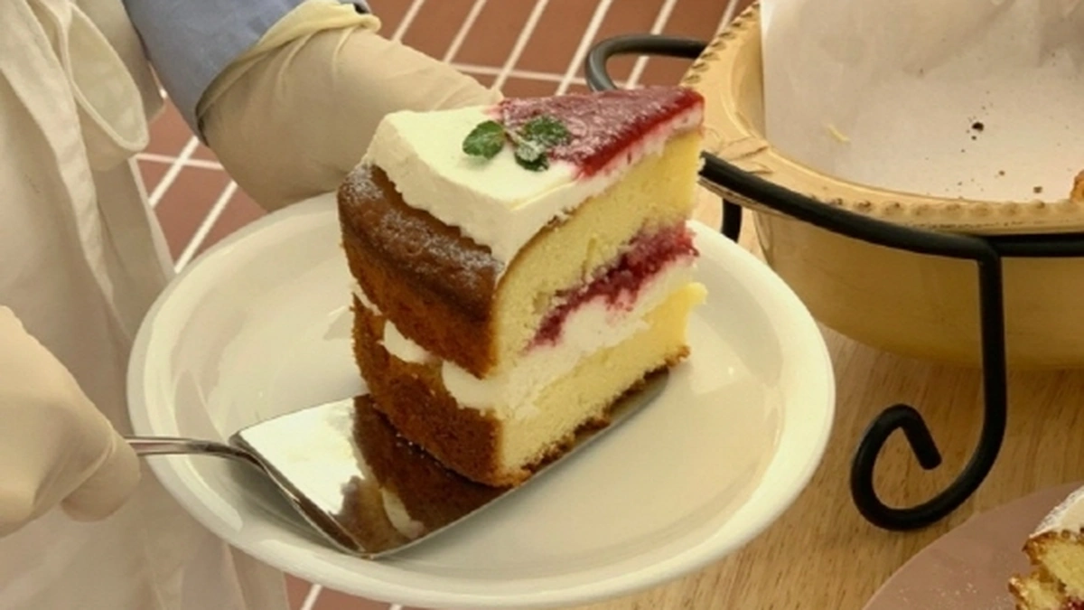 비진숲커피