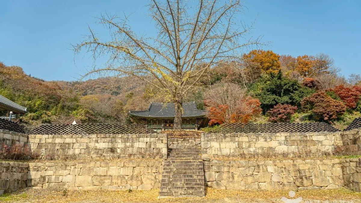 만연산