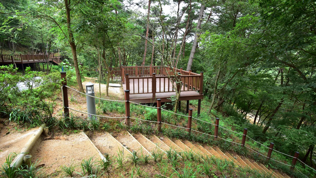청계동 솔바람야영장