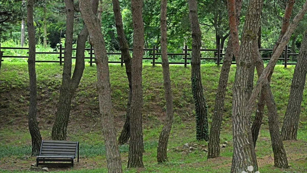 용두산 산림욕장