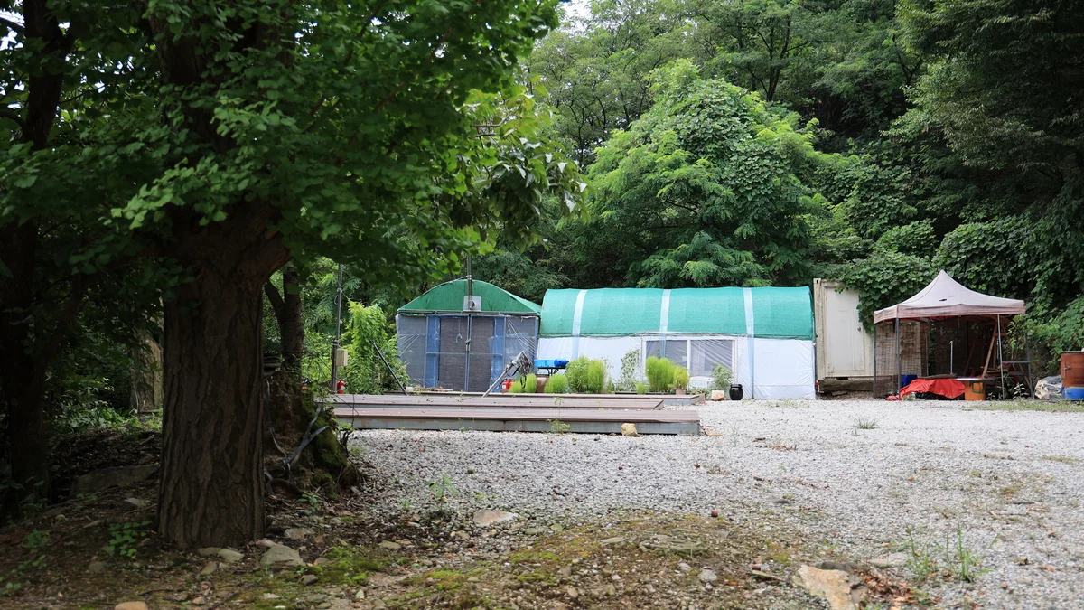 서운산캠핑장