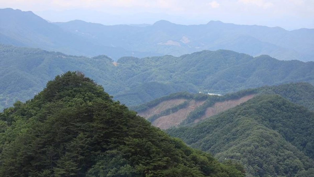 사명산